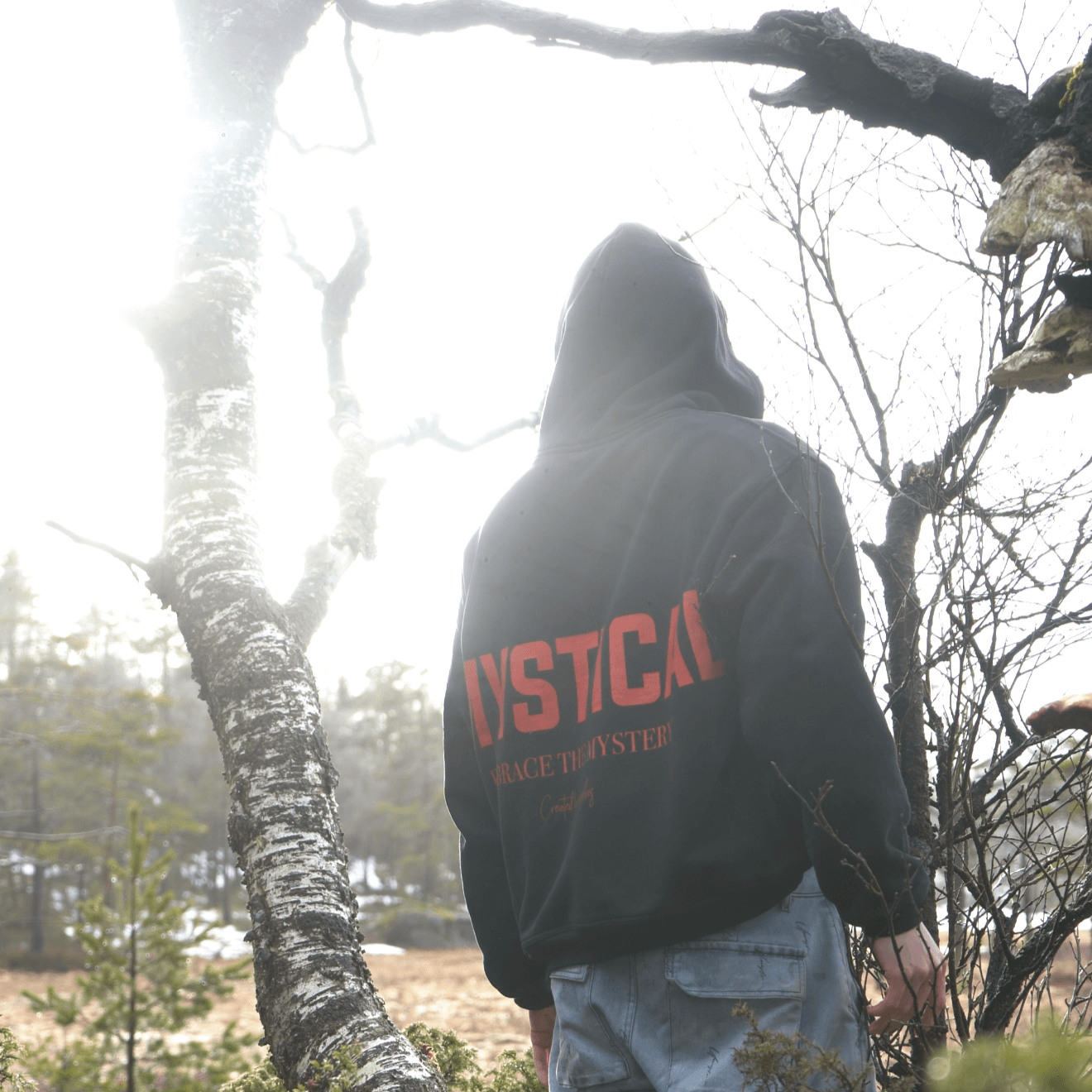 Oversized Hoodie Back view